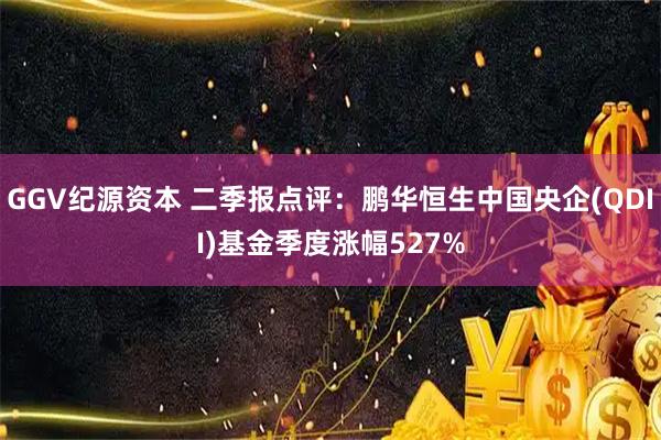 GGV纪源资本 二季报点评:鹏华恒生中国央企(QDII)基金季度涨幅527%