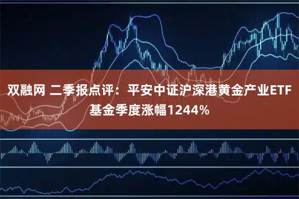 双融网 二季报点评:平安中证沪深港黄金产业ETF基金季度涨幅1244%